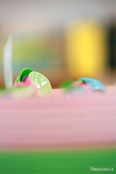 B2B > Citron Grenadine021©rosemagic-Nathalie Bougelet
