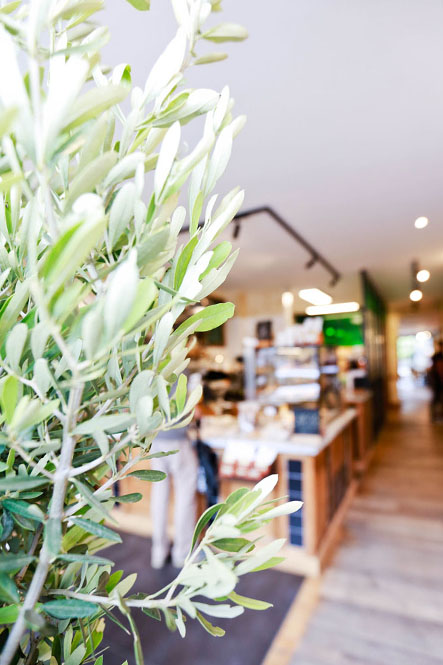 B2B > Le pain quotidien012©rosemagic-Nathalie Bougelet