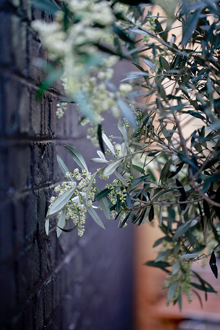 B2B > Le pain quotidien025©rosemagic-Nathalie Bougelet