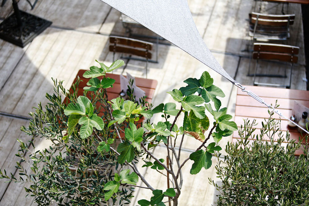 B2B > Le pain quotidien037©rosemagic-Nathalie Bougelet