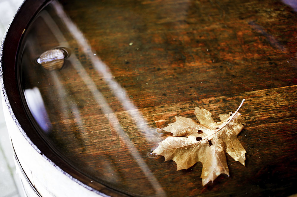 B2B > Le comptoir des vins012©rosemagic-Nathalie Bougelet