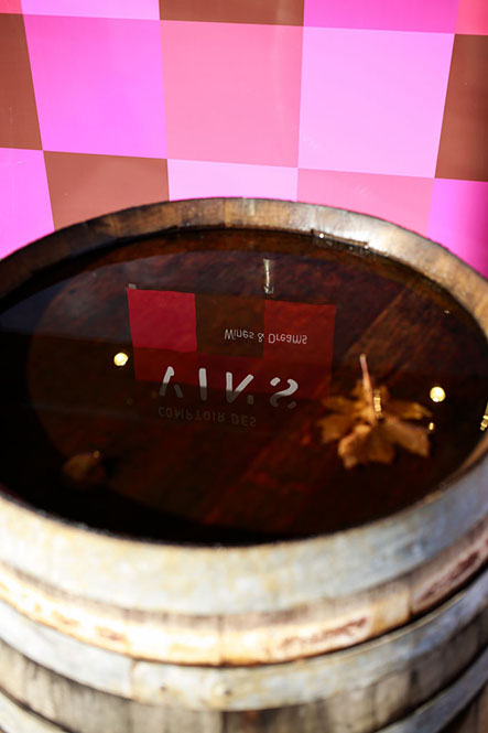 B2B > Le comptoir des vins042©rosemagic-Nathalie Bougelet