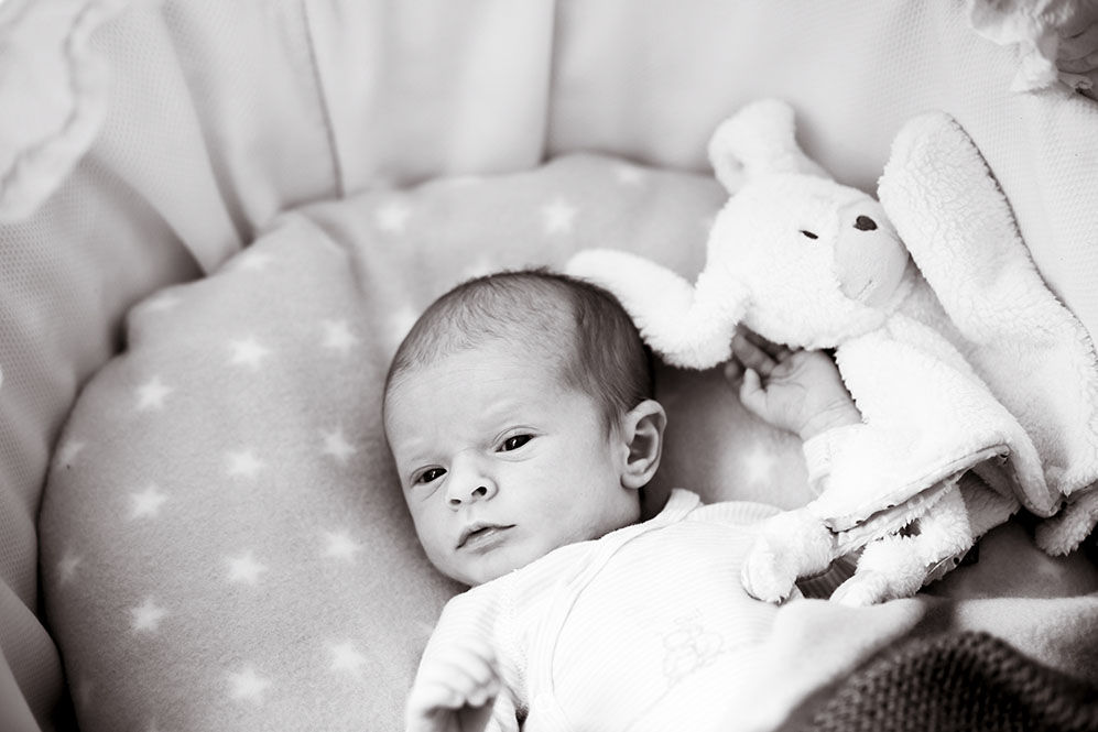Belly > Arthur034©rosemagic-Nathalie Bougelet