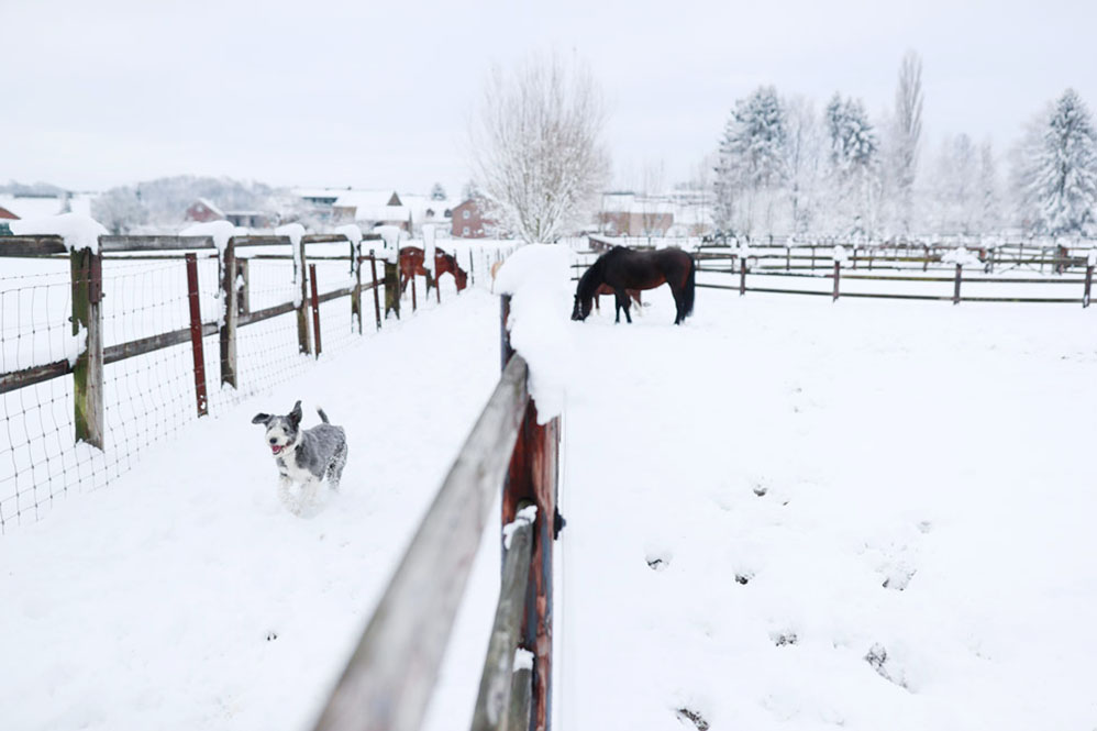 Kids > Elinore020©rosemagic-Nathalie Bougelet
