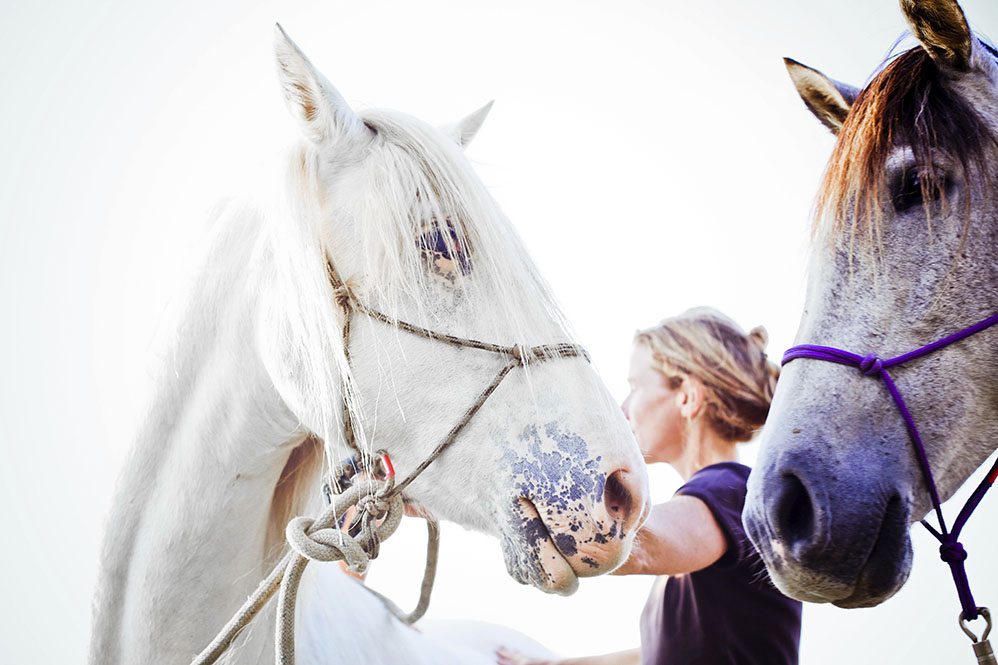 Kids > Téa Horses017©rosemagic-Nathalie Bougelet
