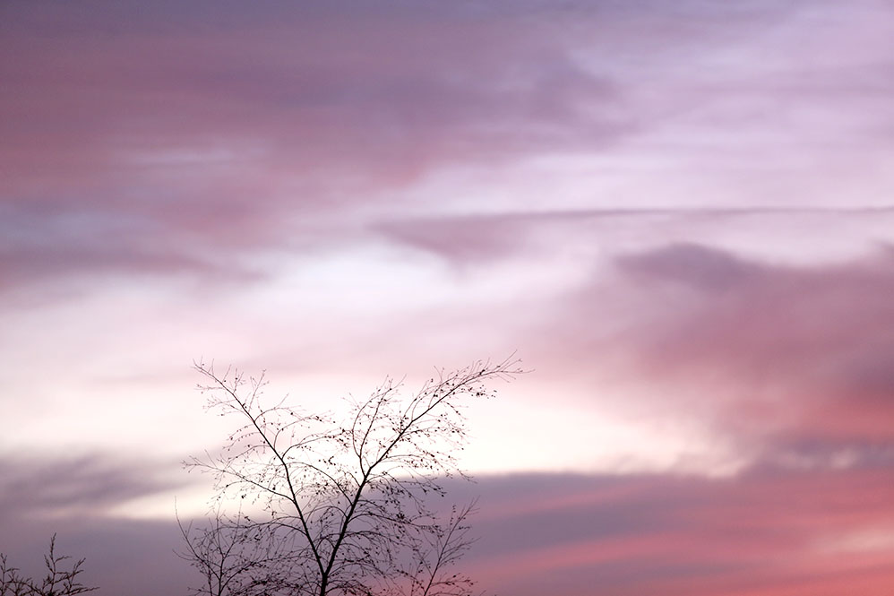 Personal038©rosemagic-Nathalie Bougelet